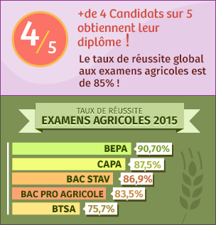 diplome agricole 974